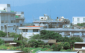 Seta Plant