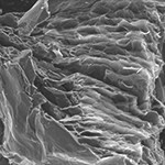 Image of Acid treated Expandable Graphite powder